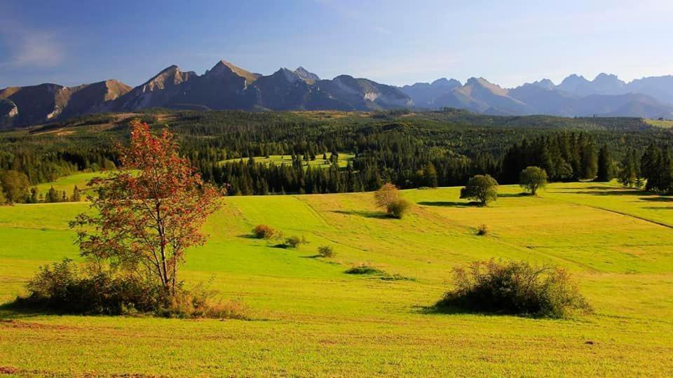 Pokoje Goscinne Panorama Rzepiska Zewnętrze zdjęcie